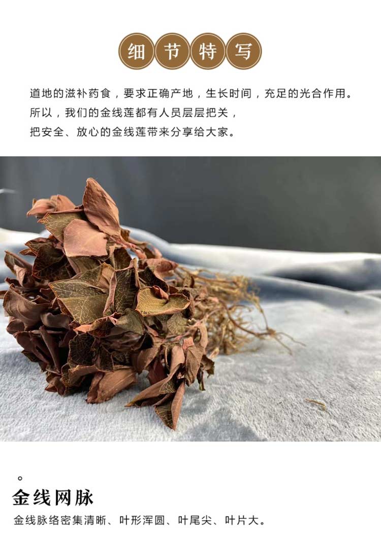 金線蓮干品 50克10管 禮盒裝