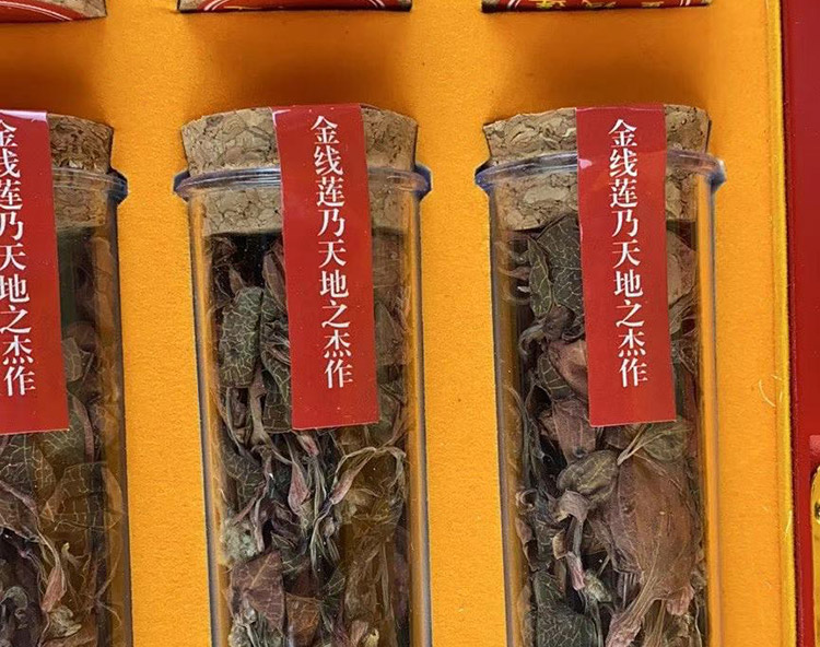 金線蓮干品 50克10管 禮盒裝